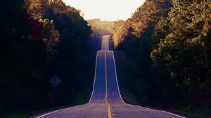 The way of purity