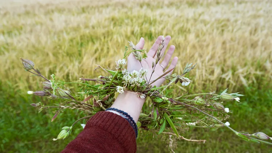 Plant slavery, reciprocity & exchange