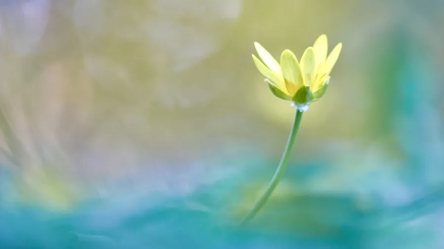Positivity rising
