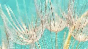 Realigning with nature time